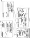 Fig. 09 - TROLLING MOTOR AND SONAR DEVICE DIRECTIONAL CONTROL