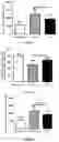 Fig. 02 - METHOD AND DRUG FOR TREATING PARKINSON'S DISEASE