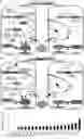 Fig. 01 - GENE INTERFERENCE VECTOR- AND IRON NANOPARTICLE-BASED COMPOSITION FOR KILLING CANCER CELLS, AND USE THEREOF