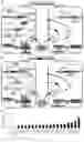 Fig. 04 - GENE INTERFERENCE VECTOR- AND IRON NANOPARTICLE-BASED COMPOSITION FOR KILLING CANCER CELLS, AND USE THEREOF