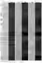 Fig. 06 - GENE INTERFERENCE VECTOR- AND IRON NANOPARTICLE-BASED COMPOSITION FOR KILLING CANCER CELLS, AND USE THEREOF