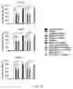 Fig. 09 - GENE INTERFERENCE VECTOR- AND IRON NANOPARTICLE-BASED COMPOSITION FOR KILLING CANCER CELLS, AND USE THEREOF
