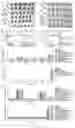 Fig. 37 - GENE INTERFERENCE VECTOR- AND IRON NANOPARTICLE-BASED COMPOSITION FOR KILLING CANCER CELLS, AND USE THEREOF