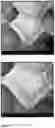 Fig. 02 - PHENOLIC FOAM AND METHOD OF MANUFACTURE THEREOF