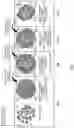 Fig. 07 - Methods, processes, and apparatuses for producing dyed and welded substrates