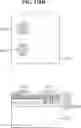 Fig. 131 - LED UNIT FOR DISPLAY AND DISPLAY APPARATUS HAVING THE SAME