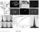 Fig. 05 - PRECISION DELIVERY OF MULTI-SCALE PAYLOADS TO TISSUE-SPECIFIC TARGETS IN PLANTS