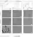 Fig. 10 - PRECISION DELIVERY OF MULTI-SCALE PAYLOADS TO TISSUE-SPECIFIC TARGETS IN PLANTS