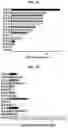 Fig. 02 - MATERIALS AND METHODS RELATING TO IMMUNOGENIC EPITOPES FROM HUMAN PAPILLOMAVIRUS