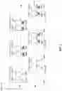 Fig. 04 - HYBRID AUTOMATIC REPEAT REQUEST FEEDBACK VERIFICATION