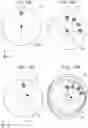 Fig. 09 - Image pickup device and image generation method
