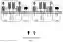 Fig. 02 - ENGINEERED CELLS AND USES THEREOF