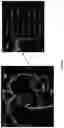 Fig. 29 - Systems, methods, and devices for medical image analysis, diagnosis, risk stratification, decision making and/or disease tracking