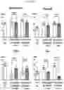 Fig. 13 - COMPOSITION FOR PREVENTING OR TREATING CARDIOVASCULAR AND METABOLIC DISEASES COMPRISING ELAEOCARPUS PETIOLATUS