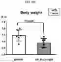 Fig. 14 - COMPOSITION FOR PREVENTING OR TREATING CARDIOVASCULAR AND METABOLIC DISEASES COMPRISING ELAEOCARPUS PETIOLATUS