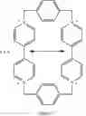 Fig. 06 - MECHANICAL-BOND-PROTECTED STABLE BISRADICALS