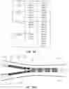 Fig. 44 - DEVICES AND METHODS FOR TREATING BRANCHING BLOOD VESSELS
