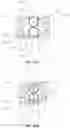 Fig. 54 - DEVICES AND METHODS FOR TREATING BRANCHING BLOOD VESSELS