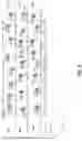 Fig. 07 - Photonic Integrated Circuit with A Random Sparse Optical Phased Array