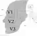 Fig. 01 - Methods and apparatuses for reducing bleeding via coordinated trigeminal and vagal nerve stimulation
