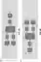 Fig. 07 - APPLICATION SPECIFIC INTEGRATED CIRCUIT INTERCONNECT