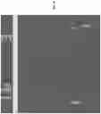 Fig. 28 - Method, system, and computer program product for implementing reinforcement learning