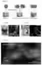 Fig. 02 - NANOPARTICLE ASSEMBLY FOR CATALYTIC HYDROGEN SENSING