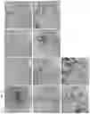 Fig. 04 - NANOPARTICLE ASSEMBLY FOR CATALYTIC HYDROGEN SENSING