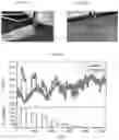 Fig. 48 - NANOPARTICLE ASSEMBLY FOR CATALYTIC HYDROGEN SENSING