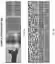Fig. 08 - GENERATING NEURAL NETWORK OUTPUTS BY ENRICHING LATENT EMBEDDINGS USING SELF-ATTENTION AND CROSS-ATTENTION OPERATIONS