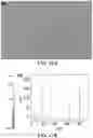 Fig. 20 - High Rate Printing of Microscale and Nanoscale Patterns Using Interfacial Convective Assembly