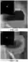 Fig. 22 - High Rate Printing of Microscale and Nanoscale Patterns Using Interfacial Convective Assembly