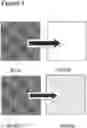 Fig. 07 - Color indicating formulations