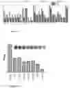 Fig. 06 - COMBINATORY TREATMENT