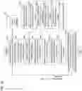 Fig. 07 - SYSTEMS, METHODS, AND DEVICES FOR MEDICAL IMAGE ANALYSIS, DIAGNOSIS, RISK STRATIFICATION, DECISION MAKING AND/OR DISEASE TRACKING