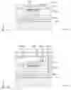 Fig. 07 - METHOD FOR ON-SILICON INTEGRATION OF A COMPONENT III-V AND ON-SILICON INTEGRATED COMPONENT III-V