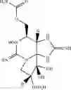 Fig. 06 - PREPARATION OF NEOSAXITOXIN