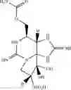 Fig. 07 - PREPARATION OF NEOSAXITOXIN