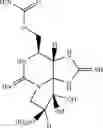 Fig. 08 - PREPARATION OF NEOSAXITOXIN
