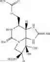 Fig. 09 - PREPARATION OF NEOSAXITOXIN