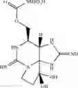 Fig. 10 - PREPARATION OF NEOSAXITOXIN
