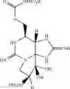 Fig. 13 - PREPARATION OF NEOSAXITOXIN
