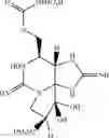 Fig. 15 - PREPARATION OF NEOSAXITOXIN