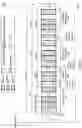 Fig. 10 - Cyclic prefix (CP) extension in channel occupancy time (COT) sharing for sidelink communication