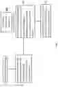Fig. 02 - Apparatus and methods for determining illegal deliveries in cricket