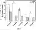 Fig. 07 - PLASTIC-DERIVED MESOPHASIC CARBON