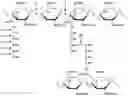 Fig. 01 - PROTEIN HAVING PEPTIDOGLYCAN-DEGRADING ACTIVITY AND DNA ENCODING PROTEIN, MICROORGANISM DEGRADING PREPARATION AND METHOD FOR DEGRADING MICROORGANISM