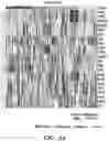 Fig. 08 - METHODS RELATED TO BRONCHIAL PREMALIGNANT LESION SEVERITY AND PROGRESSION