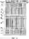 Fig. 40 - METHODS RELATED TO BRONCHIAL PREMALIGNANT LESION SEVERITY AND PROGRESSION