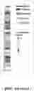 Fig. 41 - METHODS RELATED TO BRONCHIAL PREMALIGNANT LESION SEVERITY AND PROGRESSION